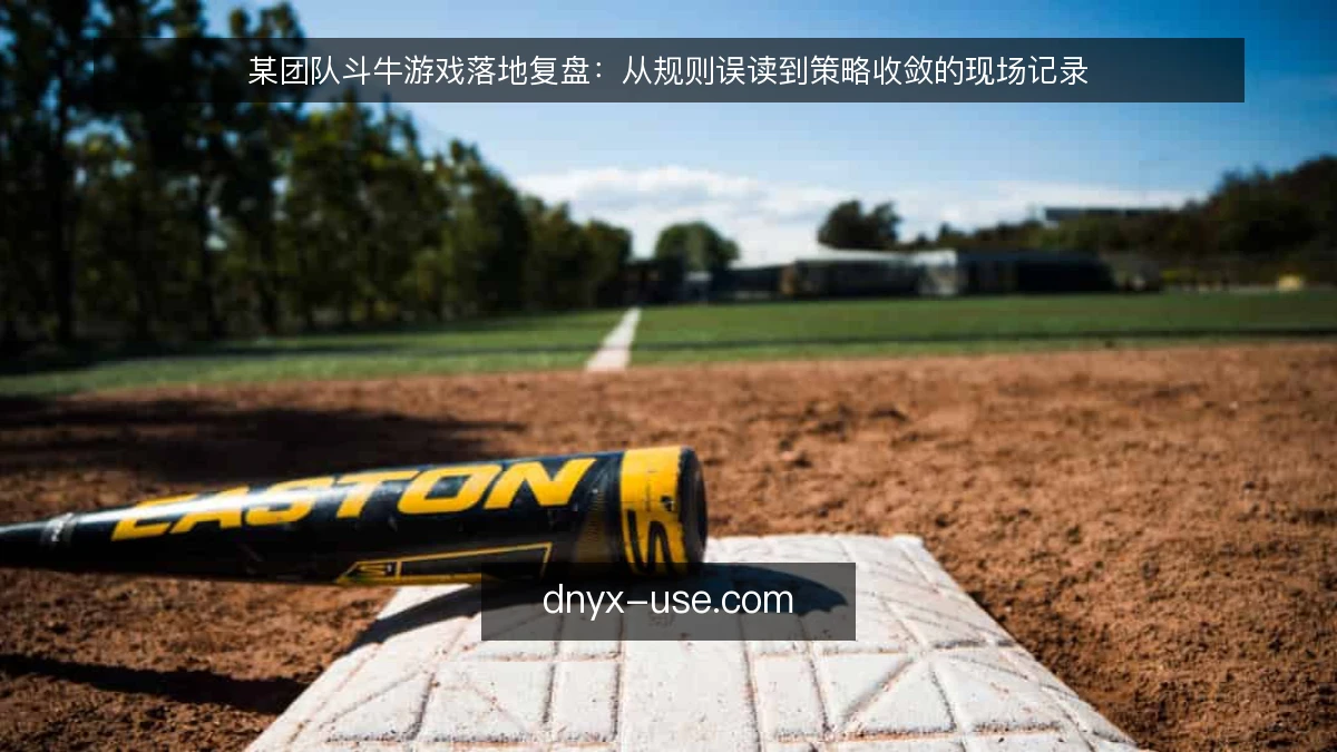 某团队斗牛游戏落地复盘：从规则误读到策略收敛的现场记录