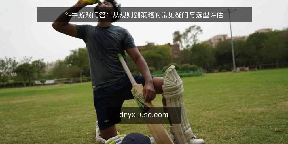 斗牛游戏问答：从规则到策略的常见疑问与选型评估 — 斗牛游戏的核心规则是什么？ 配图