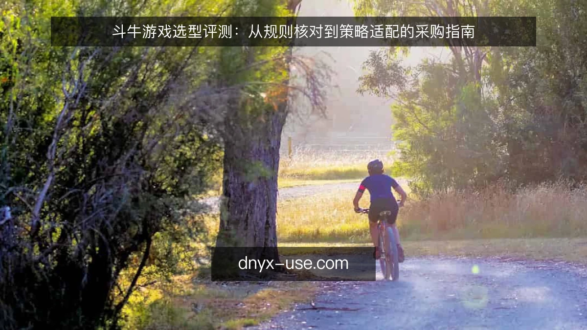 斗牛游戏选型评测：从规则核对到策略适配的采购指南