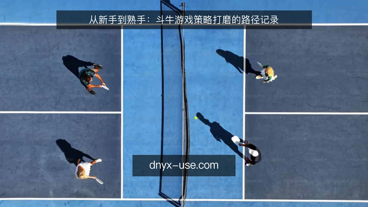 从新手到熟手:斗牛游戏策略打磨的路径记录